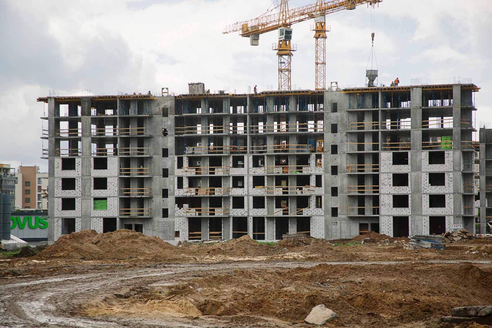 New